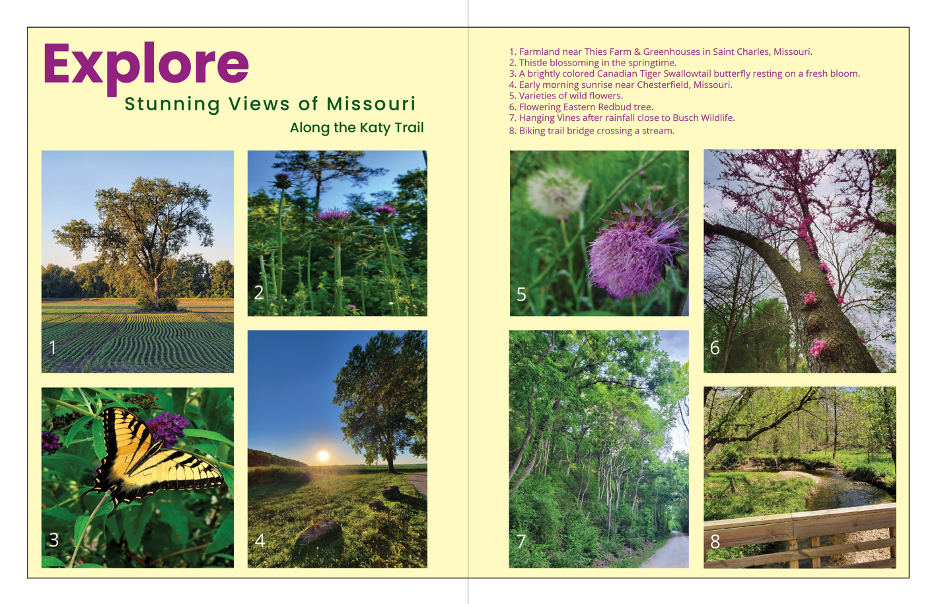 InDesign, Typography, Design, Layout, Magazine